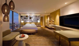 国产精品酒店,国产精品酒店的精致之旅